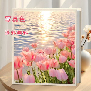 tHgAo Ao L 1000[ \^Cv ʐ^ [ubN [Ao S ʐ^ e [  ԕ s