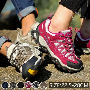 gbLOV[Y AEghA Xj[J[ C oRC gbLO oR Ro fB[X jZbNX Lv nCLO AEghAV[Y AEghAXj[J[ Y  