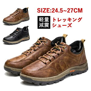 oRC oR gbLOV[Y Y y ʋC X|[cV[Y EH[LO Xj[J[ WMOV[Y JWA ʋ ʊw 풅p