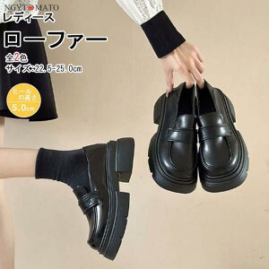 [t@[ fB[X [WF[pvX RXvV[Y ɂ Vv 24.5cm [q[ r  n wC ʋΒʊw  