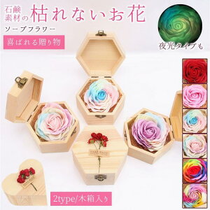 \[vt[ o tOX {bNXt[ 2type ؔ Jt F ͂Ȃ   Ό v[g Mtg a 蕨