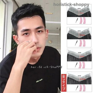 人毛100% メンズウィッグ 部分ウィッグ ハーフウィッグ つけ毛 男性用ウイッグ 自然 ウイッグ エクステンション かつら イメチェン ボリュームアップ