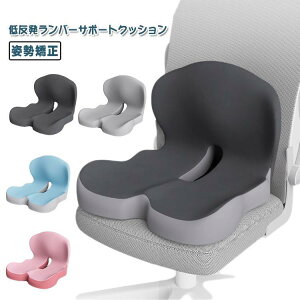 zc ɃNbV ֎qNbV w ̌^ ᔽf ՃT|[g p  ݑ[N  ItBX  Ȃ hV̓