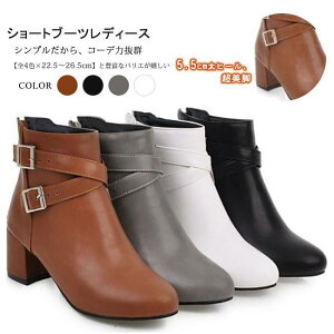 V[gu[c fB[X q[ |CebhgD PU v t@Xi[ ₷ ₷ JWA r  S4F 傫TCY