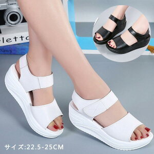 T_fB[X T_₷ T_y D^ i[XV[Y i[XT_ Ȃ _CGbg r