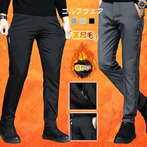 StEFA Y {gX pc N g h Stpc `mp Y Stpc `mp ̓ n JWA