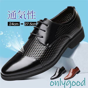 rWlXV[Y amC Y ăhCo[V[Y ʋCQ JWA  ʋ {v T[} bV V[Y Xb|