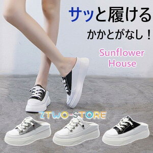 ƂȂ Xj[J[    20 30 40 50  C\[ 4cm Ȃ ₷ r ʊw ʋ ^] ʋC 