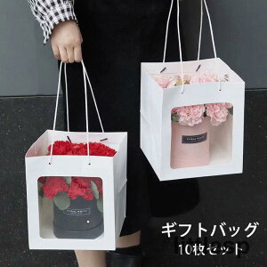 MtgobO  񂰑 10Zbg t bsO NtgobO v[g 蕨 n  `