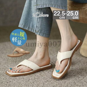 T_ V[Y tbg Xbp fB[X  ؍ ₷ ₷ y ɂ  p 킢