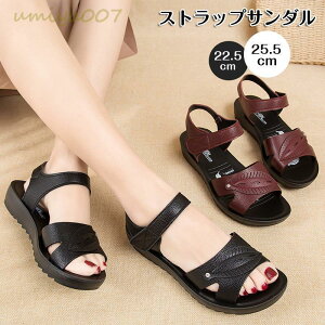 T_ fB[X ₷  T_ XgbvT_ EFbW\[ OfBG[^[ LL ؂ ₷ r l V