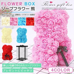 �\�[�v�t�����[ �F �v���[���g �M�t�g �� �M�t�g �͂�Ȃ� �� �a�����v���[���g �ސE�j�� �v�`�M�t�g �����j�� �������� �v���[���g ����