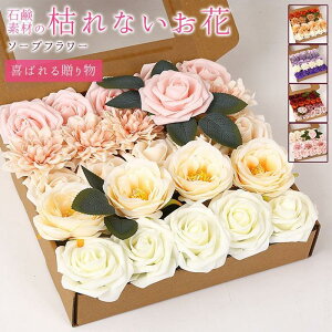 \[vt[  {bNXt[ XNGA J[l[V o tOX\[vt[ ͂Ȃ   Ό ̓ v[g Mtg