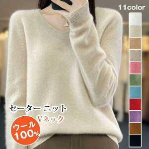 E[100% Z[^[ jbg fB[X VlbN jbgZ[^[  jbg\[ n g h ۉ Ci[ gbv