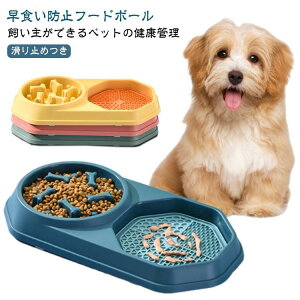 2A H _u{E Hh~ ybg  ^ Hh~ ^ q Hh~t[h{E ybg{E L X[t[h ۈ h