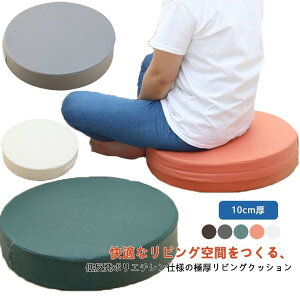 zc NbV ᔽ }CNt@Co[U[ ֎q  ~` tANbV Ɍ 10cm k Vv 킢 