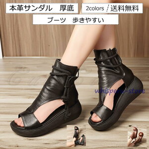 T_ fB[X T}[T_ u[c OfBG[^[  r ₷ ₷ AEghA 24NĐV ꂢ 