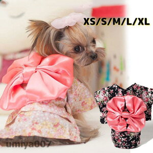  L  lR ybg ybgpi { ԕ   čՂ ԉΑ  킢 LOBe o U ^ ^ tR[f