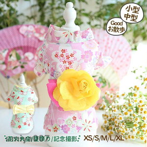  L  lR ybg  ybgpi   čՂ  ԉΑ  킢 LOBe o U ^ ^ tR[f