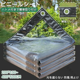 ビニールシート 屋外 透明 間仕切りシート ロープ付き ハトメ付き 防水シート 透明 PVC 屋外 カーテン 防水 風よけ 雨よけ 洗濯物カバー マンション 防砂 防雪 花粉 黄砂 庭 植物 カバー