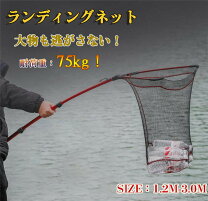 楽天市場】タモ網 8mの通販