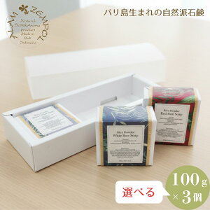 yX[p[SALEԒ|Cg10{zIׂ Ό CX\[v 100g×3 izCgAbhAubN3j CXpE_[z AZ|[  p Ō`Ό ΂ 