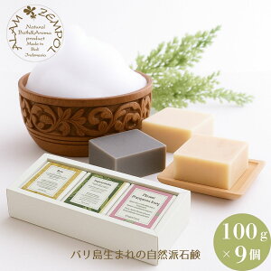 ܂Ƃߔ  ƒp p CX\[v CX\[v100g×9izCgCXAbhCXAubNCXe3j AZ|[ Alam Zempol Ό Ō`Ό Mtg ΂ 