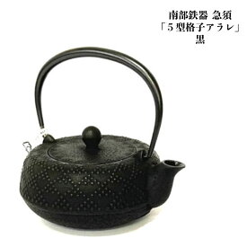 南部鉄器 岩鋳 急須 5型格子アラレ キッチン用品 調理器具 ティーポット 内部ホーロー仕上げ 日本製 国産 工芸品 伝統工芸 プレゼント ギフト インテリア 贈り物 贈物