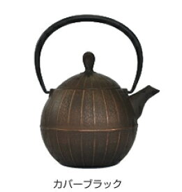 南部鉄器急須 壱鋳堂 ティーポット胡桃 Kurumi 0.5L 工芸品 国産 日本製 伝統工芸 鉄製 ホーロー 手入れがラク 和食器 プレゼント 贈り物 贈物 かわいい おしゃれ