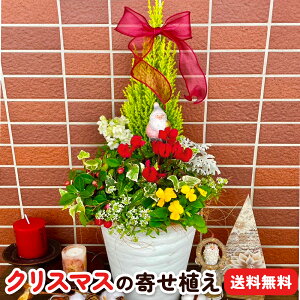 NX}X  񂹐A i S[hNXg ^ VN ^ AbT ^ rI ^ ACr[ ( wf )@Ȃ j y  z NX}Xc[ Mtg 񂹐A A  Mtg 