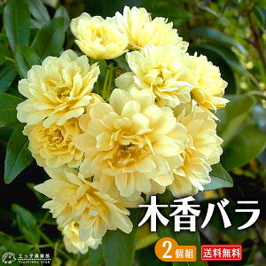 ؍o i F d j 9cm|bgc@co@KN@K[fjO@y  z y 2Zbg z