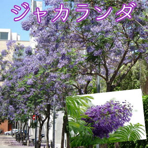 WJ_@9cm|bgc c c _ MьY MщԖ uW A[` _ MC l  EOԖ 썑 yqy