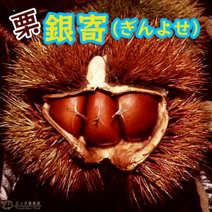 I w  i 悹 j x 15cm|bgc