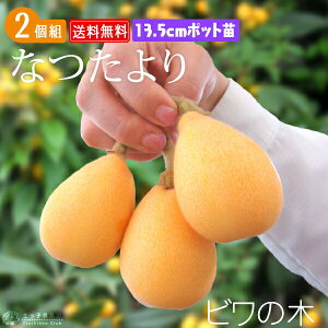 т w Ȃ x2N ڂ 13.5cm|bgc y2Zbgz yz