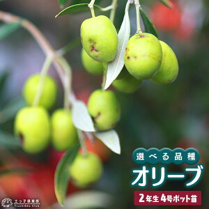I[u iS9ij 2N 4|bg c y Iׂi zI[uc c ʎ V{c[ n  Rei Aؔ yqy