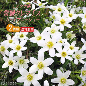 ΃N}`XwJ[g}j[W[xIZAjAnitHXe[nE}炫j9cm|bgcy2Zbgzyz