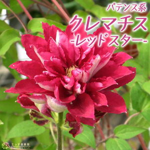N}`X w bhX^[ x peXnE}炫 i 炫֌n j 9cm|bgc