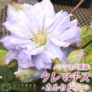 N}`X w JZhj[ x peXdnE}炫 i 炫֌n j 9cm|bgc