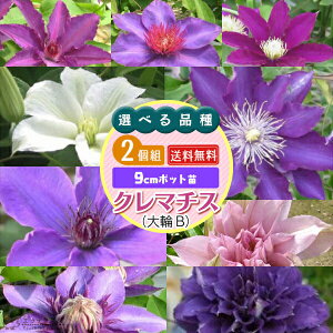 N}`X B 9cm|bgc y 2Zbg z y  z y Iׂi z