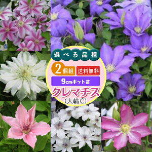 N}`X C 9cm|bgc y 2Zbg z y  z y Iׂi z