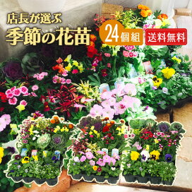 imgrc0094672144.jpg?fitin=272:272