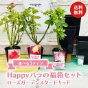 Happy バラ の福箱セット【選べる3タイプ】〜ローズガーデン スタートキッド〜 9点セット 薔薇 バラ苗 バラの苗 苗木 …