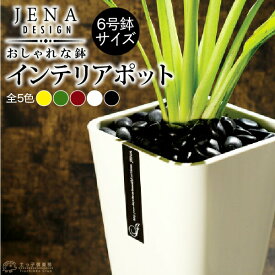 JENA インテリアポット 6号鉢サイズ【 選べるカラー 】 （オシャレでカラフル・軽量）