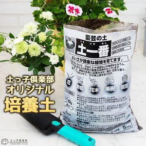 |̓y w y x 5bg y |{y |p̓y 엿 yqy y  z