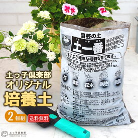 楽天市場 ゴロ土の通販
