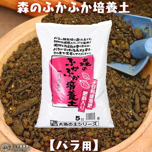 X̂ӂӂ|{y y op z 5bg op̓y K[fjO Â yqy̓y yqy IWi