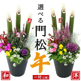 期間限定1,000円OFFクーポンが使える★ 正月飾り 門松 『 お正月寄せ植え 』2個 セット( 1対 ) 選べる門松 門松アレンジ寄せ植え 7号鉢植え 高さ約70cm 一対 お祝い 縁起 約60~70cm 並べて 飾れる 和風 洋風 新年 縁起物 【 送料無料 】 土っ子倶楽部