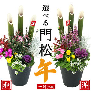  叼 w 񂹐A x2 Zbg( 1 ) Iׂ叼 叼AW񂹐A 7A 70cm  j N 60~70cm ׂ  a m VN N y  z 