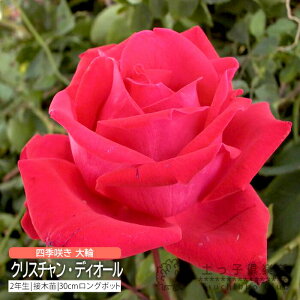 lG炫  uNX`EfBI[v 2Nڂؕc o oc KN c yqy