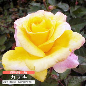 y102420g10OFFN[|Ώہz lG炫 uJuLv 2Nڂؕc o oc KN c yqy